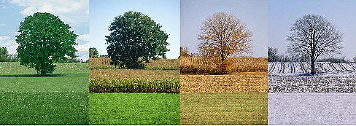 在科幻世界中追寻记忆 动作游戏《XEL》正式上架