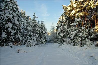 印尼恐怖游戏《小镇惊魂3》新预告及截图 美女太动人