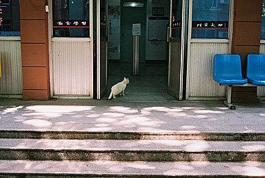 《绝地潜兵2》全新战争债券“化学专家”公布 9月19日正式上线